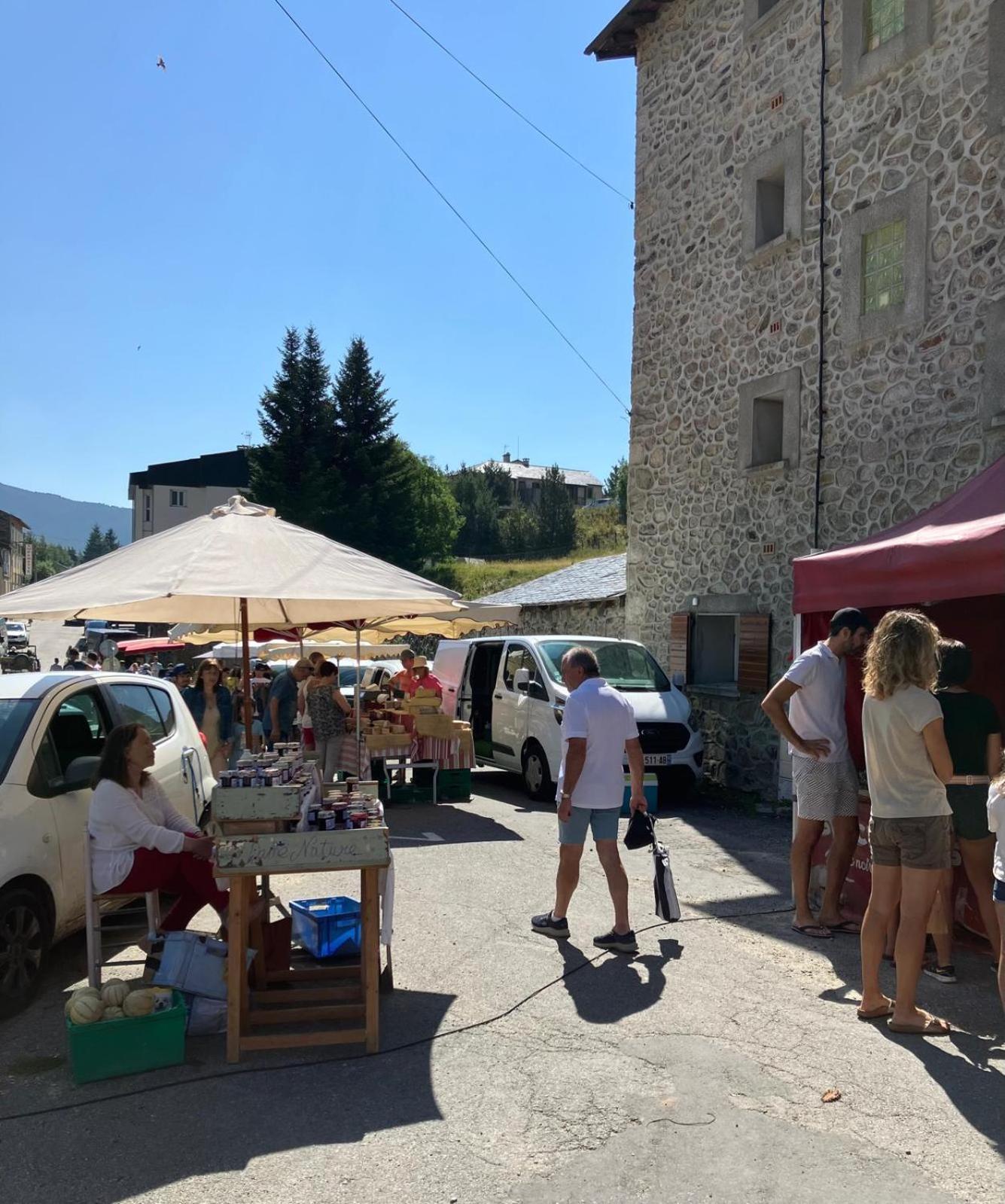 La Grange T2 Centre Ville Jardin Wifi Formiguères Zewnętrze zdjęcie
